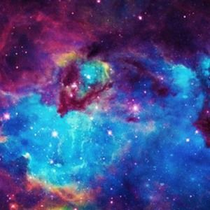 Meet your Posher, Lili